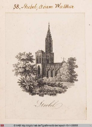 Exlibris des Adam Walther Strobel
