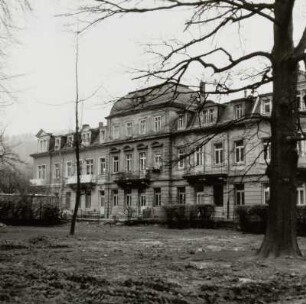 Wohn- und Geschäftshaus, Bad Schandau