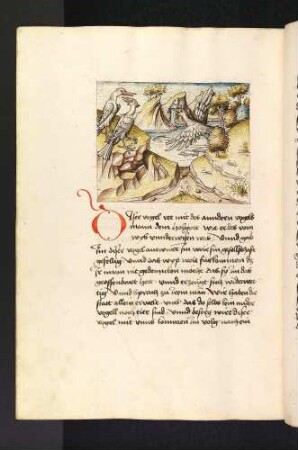 Gespräch der Vögel Mosan und Holgot, Holgots Frau fliegt mit Fischem im Maul herbei; (Kapitel XVI: Von den Vögeln).