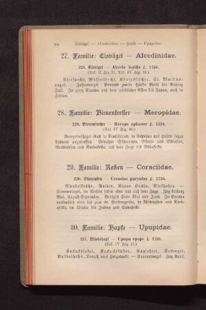 29. Familie: Raken - Coraciidae.