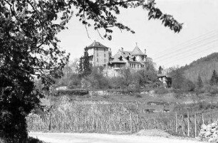 Bergheim: Schloss