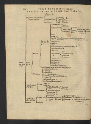 Synoptica Lib. IX. Ex Dn. Pac. Tabula