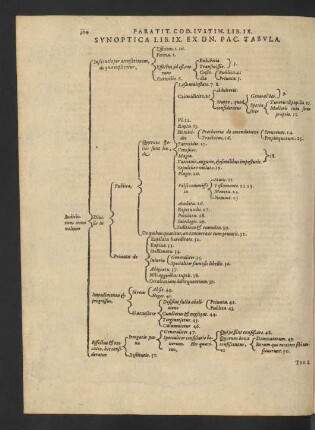Synoptica Lib. IX. Ex Dn. Pac. Tabula