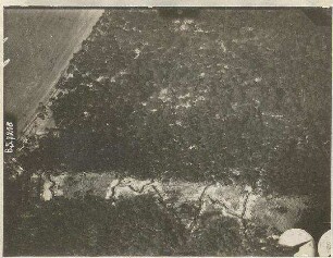 Schützengräben im Vogelholz bei Schleißheim (700 m)