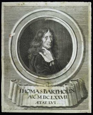 Bartholin, Thomas