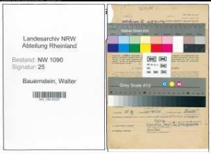 Entnazifizierung Walter Bauernstein , geb. 09.01.1907 (Angestellter)