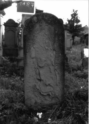 Grabstein 1187 (Index: 100104338) Material: Sandstein Zustand: fast vollständiger Textverlust Maße HxBxT: 130x53x15 cm Beschreibung: Stele mit Rundbogenabschluss: Grabstein 1187