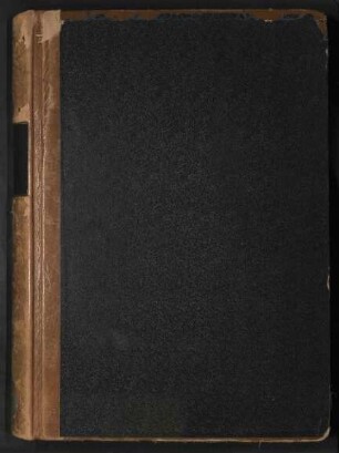 Standesamtsbuch der Stadt Aschaffenburg: Geburten 1 - 385/1899