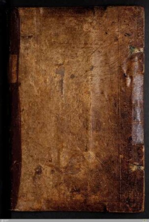 2: Pars aestivalis