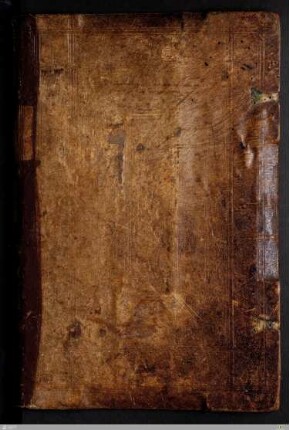 2: Pars aestivalis