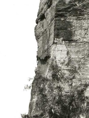 Sächsische Schweiz. Schmilka. Teufelsturm. Seilschaft Karlheinz Gonda, W. Müller u. G. Junghans an der Talseite. (VIIIa)