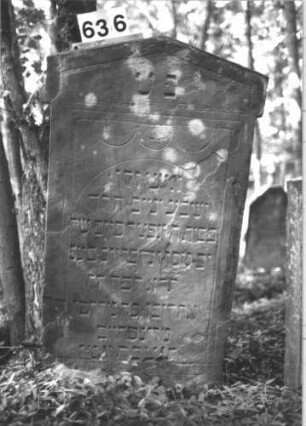 Grabstein 636 (Index: 99900627) Material: Sandstein Zustand: stellenweise angewittert Maße HxBxT: 136x20x10 cm Beschreibung: Stele mit Dreiecksabschluss, im Dreiecksfeld eingeritzte Vögel, Blüten, gestrichelter Rahmen, darunter festonartige Bögen Symbolik: Vögel, Blüten, Feston: Grabstein 636