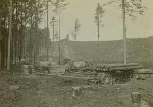 Staatsforstrevier Lauter. Holzschlag. Beim Aufladen