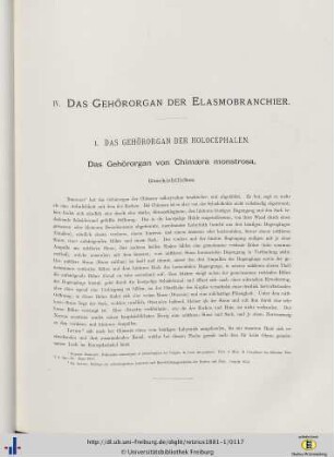 IV. Das Gehörorgan der Elasmobranchier.