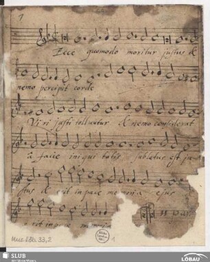 14 Motets - Mus.Löb.33,2 : V (X)