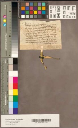Der Kölner Bürger Johann vamme Hirtze d. Ä. quittiert Herzog Wilhelm über 30 Gulden Leibrenten.