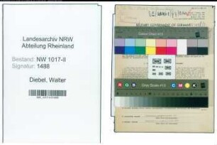 Entnazifizierung Walter Diebel , geb. 30.10.1902 (Fabrikant)