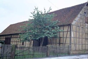 lange Fachwerkscheune mit Lehmflechtwerk