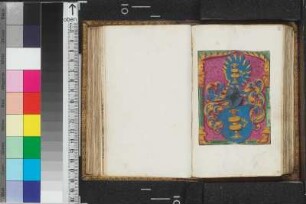 Illustration, Blatt 91