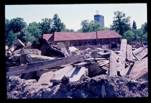 Zoo 24.5.69.