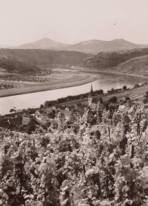 Groß Tschernosek (Velké Zernosek). Ortsteilansicht mit St. Nikolaus Kirche. Blick elbabwärts gegen Kletschen (Kletecná) und Kuckucksberg. Im Vordergrund Weinstöcke