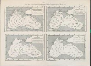 Die Oberflächenströmungen des Schwarzen Meeres.