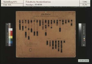 Morgenstern, Gewerkschaft, Reinsdorf, Betriebsabteilung Florentin Kästner, Schichtenkohlenflöz 1, Blatteinteilung der Urrisse