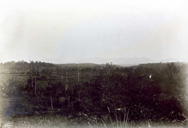 "Bearing 350 v. path below Gorongu, striking the opposite ridge N.-S."