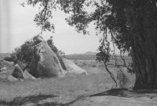 Granitklippen : Savanne mit einer Granitfelsen