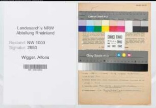 Entnazifizierung Alfons Wigger, geb. 14.06.1915 (Arzt)