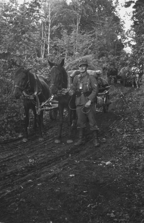 Zweiter Weltkrieg. Frontbilder. Sowjetunion. Troß der deutschen Wehrmacht mit Pferdefuhrwerken in einem Wald