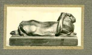 Französisches Kaninchen : Französisches Kaninchen. Wahrscheinlich Gipsmodell, getönt, für Bronzeguss; Länge 19 cm (um 1910; C. Brose)