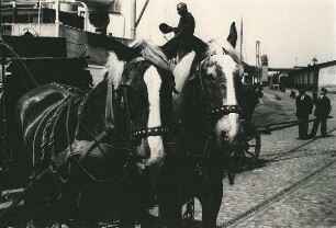 Pferdekutsche beim Schiffsanleger an den Landungsbrücken Hamburg