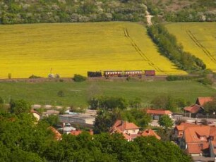 Quedlinburg - Neuendorf : Die Gasse Neuendorf in Quedlinburg, aufgenommen am 3. Mai 2014. Foto Uwe Gerig