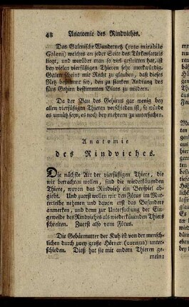 Anatomie des Rindviehes