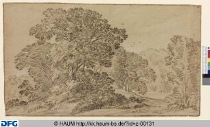 Waldeingang, Gruppe von Laubbäumen