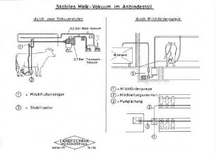 Stabiles Melk-Vakuum im Anbindestall