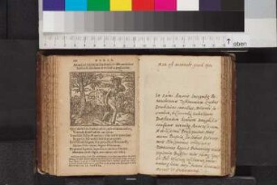 Olzignanus, Hieronymus; Blatt 166