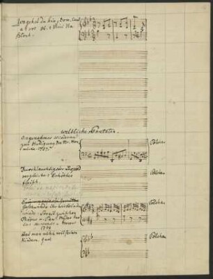Weltliche Cantaten