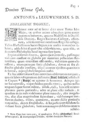Domino Thomae Gale, Antonius a Leeuwenhoek