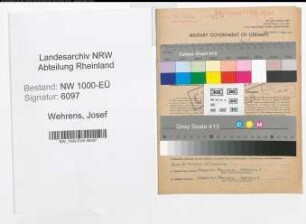 Entnazifizierung Josef Wehrens, geb. 13.01.1891 (Arzt)