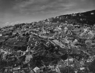 Archivfotografie "bergstrasse_schriesheim_5021"