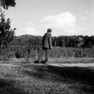 Wanderweg um den Herrenteich: Mann auf Weg