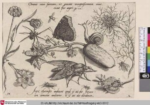 [Insekten, Pflanzen und Früchte mit Schmetterling und Schnecke im Zentrum]