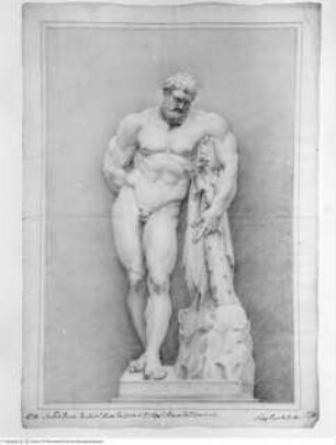 Concorso Accademico 1728, Terza Classe: Herkules Farnese, secondo premio