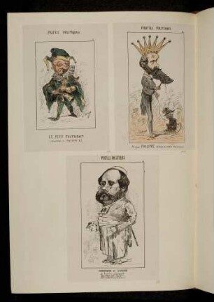 Profils politiques