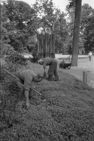 Pflege der Staudengärten im Schlossgarten.