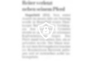 Reiter verletzt neben seinem Pferd