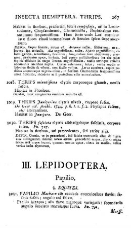 III. Lepidoptera
