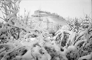Staufen: Vom Park auf Schlossberg